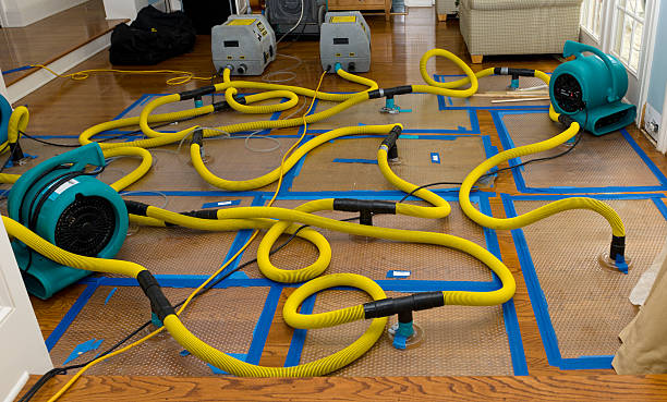 Professional Crawl Space Water Removal technician working in Danforth, ME